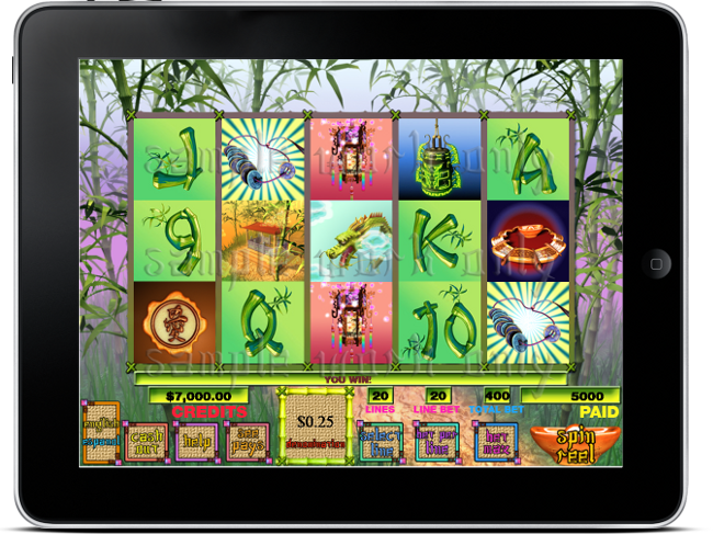 iPad app